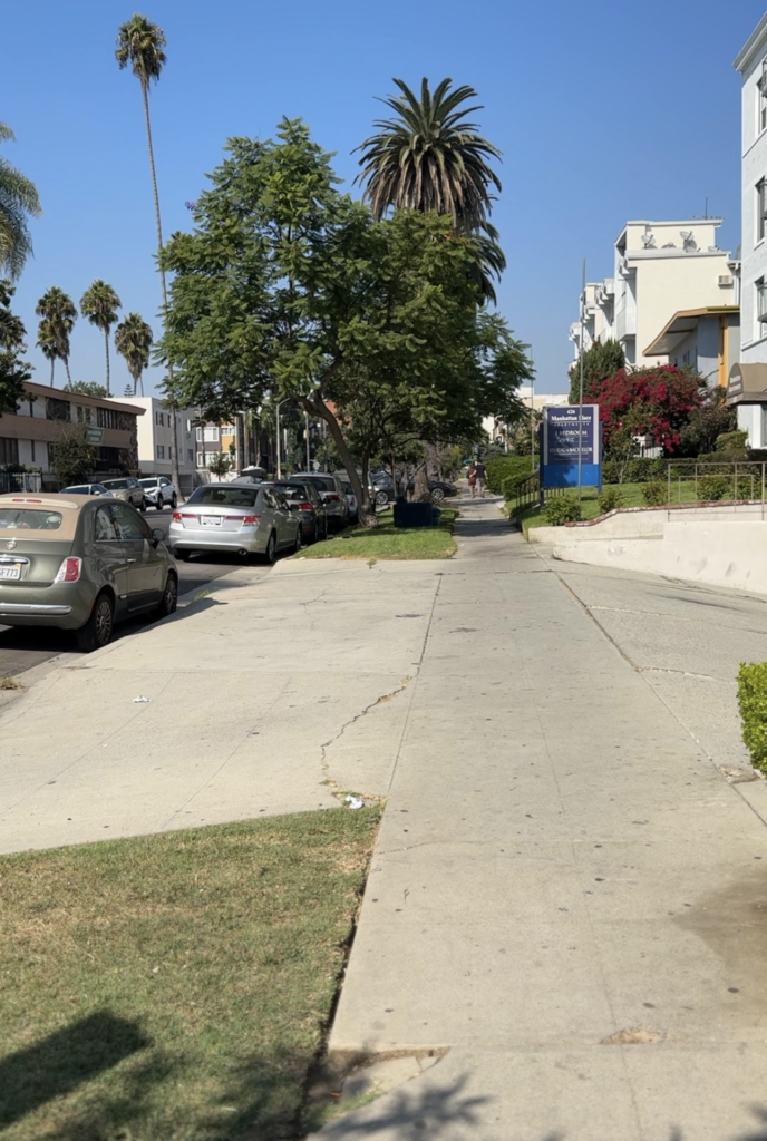 A sidewalk on a street lined with palm trees and cars